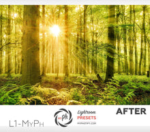 Load image into Gallery viewer, Landscape