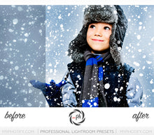 Load image into Gallery viewer, Winter Frost