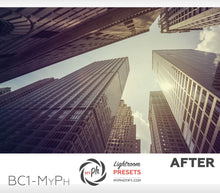 Load image into Gallery viewer, Big City Life