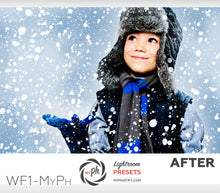 Load image into Gallery viewer, Winter Frost