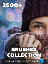 Load image into Gallery viewer, 2500+ Photoshop BRUSHES