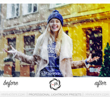 Load image into Gallery viewer, Urban Life