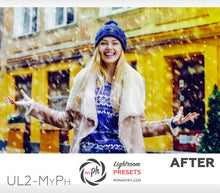 Load image into Gallery viewer, Urban Life