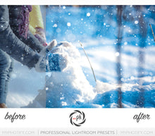 Load image into Gallery viewer, Winter Frost