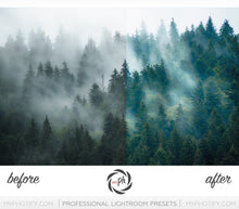 Load image into Gallery viewer, Film