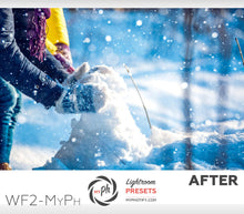 Load image into Gallery viewer, Winter Frost