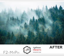 Load image into Gallery viewer, Film