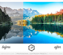 Load image into Gallery viewer, Landscape