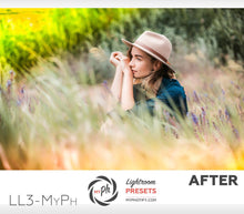 Load image into Gallery viewer, Light Leaks