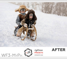 Load image into Gallery viewer, Winter Frost