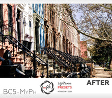 Load image into Gallery viewer, Big City Life