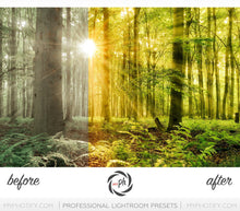 Load image into Gallery viewer, Landscape