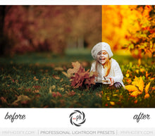 Load image into Gallery viewer, Romantic Sunlight