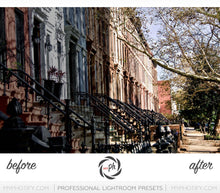 Load image into Gallery viewer, Big City Life