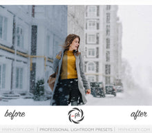 Load image into Gallery viewer, Winter Frost