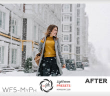 Load image into Gallery viewer, Winter Frost