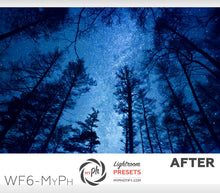 Load image into Gallery viewer, Winter Frost