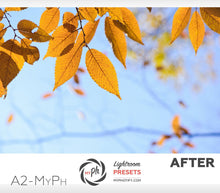 Load image into Gallery viewer, Autumn