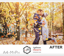 Load image into Gallery viewer, Autumn