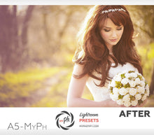 Load image into Gallery viewer, Autumn