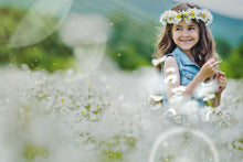 Load image into Gallery viewer, 2500+ Photoshop BRUSHES