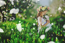 Load image into Gallery viewer, 2500+ Photoshop BRUSHES