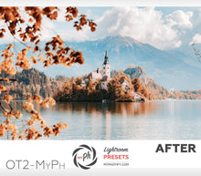 Load image into Gallery viewer, Orange and teal