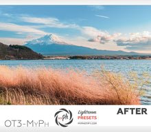 Load image into Gallery viewer, Orange and teal