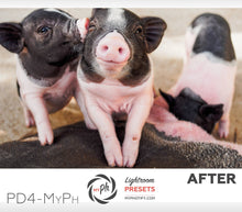 Load image into Gallery viewer, Pets – Cats & Dogs