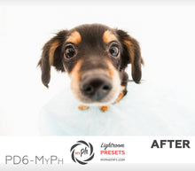 Load image into Gallery viewer, Pets – Cats & Dogs