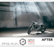 Load image into Gallery viewer, Professional Product