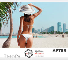 Load image into Gallery viewer, Traveler