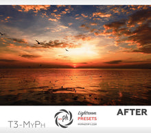 Load image into Gallery viewer, Travel