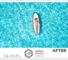 Load image into Gallery viewer, Traveler