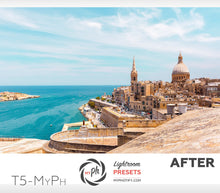 Load image into Gallery viewer, Traveler