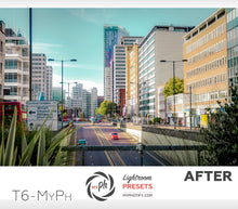 Load image into Gallery viewer, Traveler