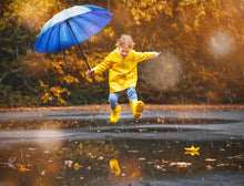 Load image into Gallery viewer, 1200+ Wonderful Autumn Overlays Bundle