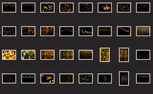 Load image into Gallery viewer, 2600+ CHRISTMAS OVERLAYS