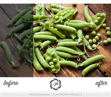 Load image into Gallery viewer, Professional Product