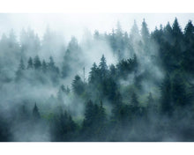 Load image into Gallery viewer, Fog Overlays