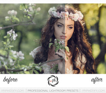 Load image into Gallery viewer, Autumn