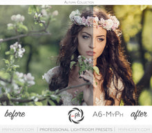 Load image into Gallery viewer, Presets Sample Pack (5 Presets from PRO 1080+ | Professional Adobe Lightroom Presets)