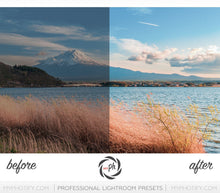 Load image into Gallery viewer, Orange and teal