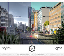 Load image into Gallery viewer, Traveler