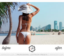 Load image into Gallery viewer, Traveler