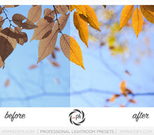 Load image into Gallery viewer, Autumn