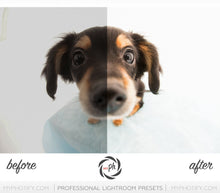 Load image into Gallery viewer, Pets – Cats & Dogs