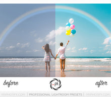 Load image into Gallery viewer, Traveler