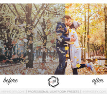 Load image into Gallery viewer, Autumn