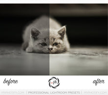 Load image into Gallery viewer, Pets – Cats & Dogs